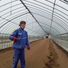 【Agricultural Part-time Job Chiba】Work Load for a Week ~ Working Part-time Near Narita Airport ~