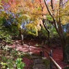 霧島「旅行人山荘」紅葉のもみじの湯