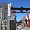 武井神社は2回目の参拝