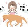 突然の痙攣、愛犬を守るために。すぐに相談できる夜間病院を見つけよう