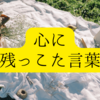 心に残った言葉⑮「世界はあなたを傷つけないようにデザインされていない」