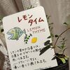 タイムちゃん、児童養護施設での二ヶ月の経験を経て、一時帰省するの巻。