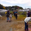2023年度　アグリフェス「焼き芋＆芋掘り会」