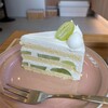 きなこ、昼の散歩に出かける