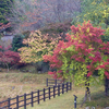 紅葉の進み具合をチェックしに東吉野村へ