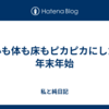 心も体も床もピカピカにした年末年始