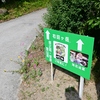 山行記　右田ヶ岳　直登→塚原ルート（5/24）