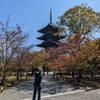 【京都観光】世界遺産　京都東寺に行って来ました