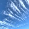 秋の良い雲