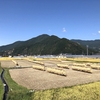 里山ハイク：葛尾山（坂城町）