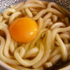 月見冷やしうどん