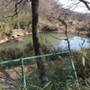 岩殿の池（埼玉県東松山）