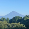 今朝の景色