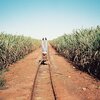 1st Phase - Australia 01
