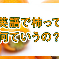 日本のゆずは英語で 冬至で欠かせないゆずを外国人に説明しよう ネイティブキャンプ英会話ブログ