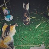 【436日目】文明開花のメリデメ