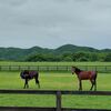 新馬戦