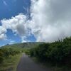 若さあふれてました！