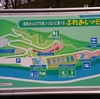 有田川でお友達とキャンプ　その８－『ふれあいの丘』で遊ぶ