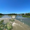雨上がりの鴨川にて。