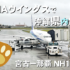 【30分】大忙しの沖縄県内フライト｜宮古ー那覇 NH1728
