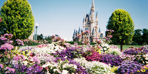 写ルンですで東京ディズニーランドとディズニーシーを撮ってみた。