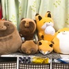 タヌキとキツネが増えた話