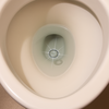 【育児パパ観察日記】便器の中に光る謎の物体！？妻のカラコンが落ちていた話【子育てあるある】
