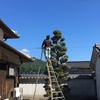 庭木の剪定 / Pruning of Garden Trees