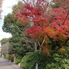 京都～お茶を巡る旅