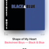 Backstreet Boys  "Shape of My Heart" 洋楽 歌詞 和訳 解説  〜相手に想いを伝えるとは〜