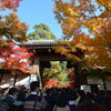 そうだ、京都（に紅葉を見に）行こう！