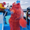 深海のデメキン・メヌケ釣り