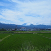 アジサイを求めて箱根に行ってきた・前編 (塔ノ沢～阿弥陀寺～大平台)