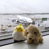 モルディブ　クラブメッド・カニフィノール旅行記②　スリランカ航空攻略編 