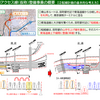 JR羽田空港アクセス線　田町駅分岐部の配線計画が判明