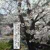 ◎飯能（名栗）の桜（４９４）