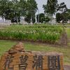 芽室公園の菖蒲園～清水円山展望台