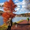 ❝ 白樺湖 ❞ 愛犬とおでかけ-長野県観光🎵　2021年11月６日⑤