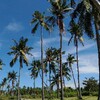 バンタヤン島で暮らす～ようやくバンタヤン島の乾季にはいったかな