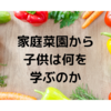 家庭菜園が子供におすすめな理由