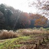 里山民家（宮野入）周辺散歩_2（東京都武蔵村山市）