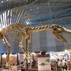 恐竜2009　ほか5つの美術館、博物館