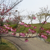 四季の森公園