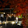 京都の紅葉穴場スポット「勝林寺」※写真あり