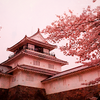 2018[悠久山公園]桜(花見)見頃は?開花予想,ライトアップ,桜祭り,駐車場を紹介！