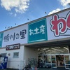 鴨川のわくわく広場で八朔を購入。