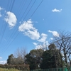 (巻四十三) 学生でなくなりし日の桜かな(西村麒麟)