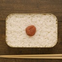 おべんとう日記