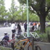 アースデイライド2008